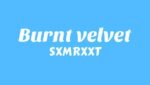 Burnt velvet Lyrics