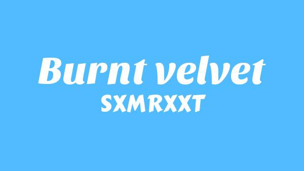 Burnt velvet Lyrics - SXMRXXT