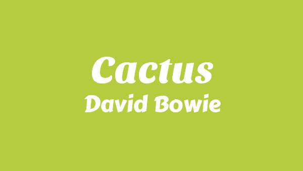 Cactus Lyrics - David Bowie