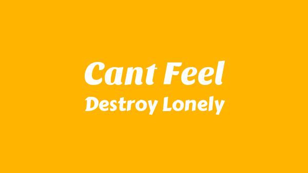 Can’t Feel Lyrics - Destroy Lonely