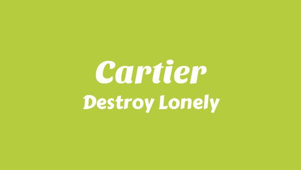 Cartier Lyrics - Destroy Lonely