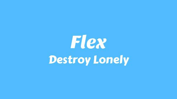 Flex Lyrics - Destroy Lonely