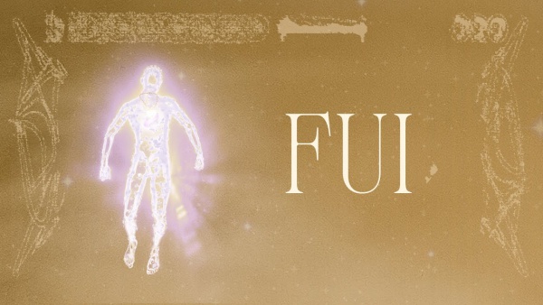 FUI Lyrics (English Translation) - MC Cabelinho