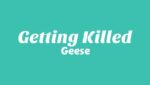 Getting Killed Lyrics