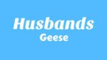 Husbands Lyrics