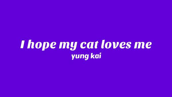I Hope My Cat Loves Me Lyrics - yung kai