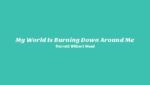 My World Is Burning Down Around Me Lyrics