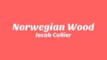 Norwegian Wood Lyrics