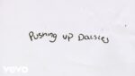 Pushing Up Daisies Lyrics