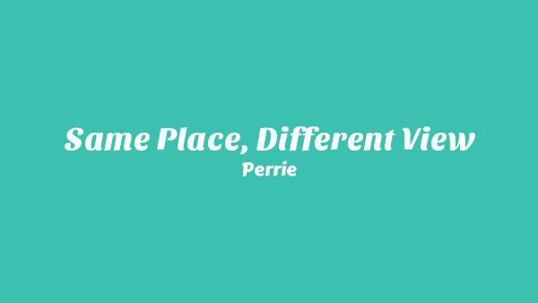 Same Place Different View Lyrics - Perrie