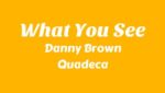What You See Lyrics