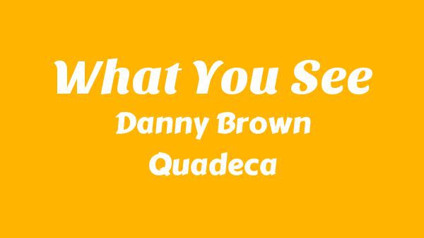 What You See Lyrics - Danny Brown, Quadeca