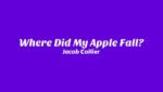 Where Did My Apple Fall? Lyrics