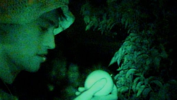 Where Did My Apple Fall? Lyrics - Jacob Collier