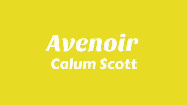 Avenoir Lyrics - Calum Scott