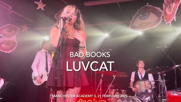 Bad Books Lyrics - Luvcat