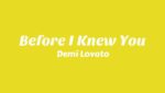 Before I Knew You Lyrics