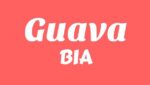 GUAVA Lyrics