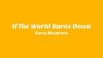 If The World Burns Down Lyrics