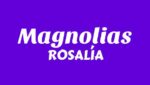 Magnolias Lyrics