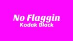 No Flaggin Lyrics