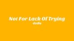 Not For Lack Of Trying Lyrics