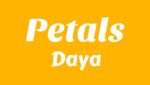 Petals Lyrics