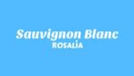 Sauvignon Blanc Lyrics