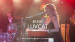 Spider Lyrics