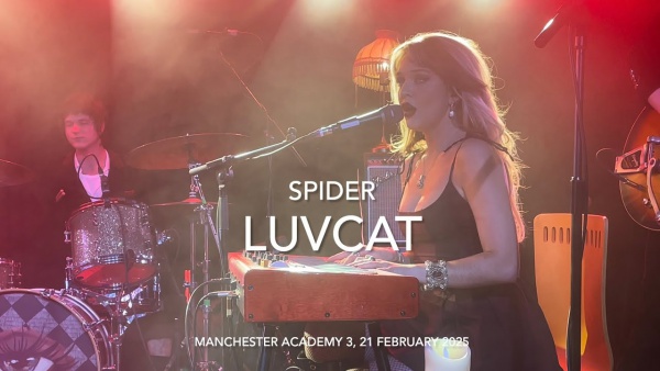 Spider Lyrics - Luvcat