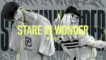 Stare In Wonder Lyrics