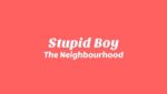 Stupid Boy Lyrics