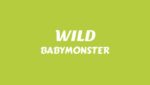 WILD Lyrics