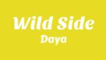 Wild Side Lyrics