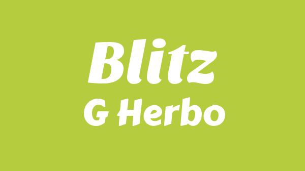 Blitz Lyrics - G Herbo
