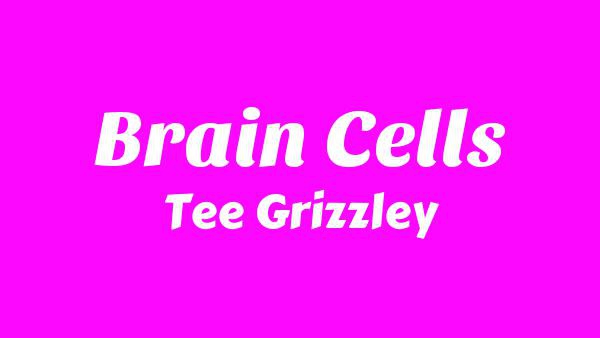Brain Cells Lyrics - Tee Grizzley