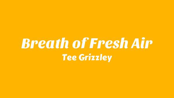 Breath of Fresh Air Lyrics - Tee Grizzley