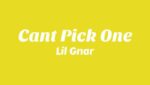 Can’t Pick One Lyrics