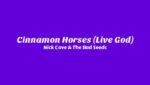 Cinnamon Horses (Live God) Lyrics