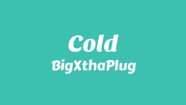 Cold Lyrics - BigXthaPlug