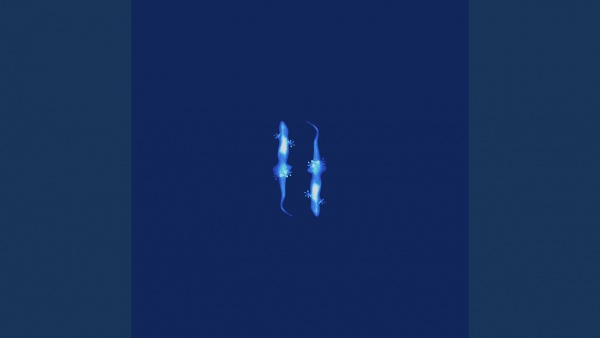 Khóc Đấy Lyrics - Thắng