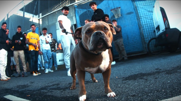 LACOSTA II Lyrics - Hard GZ