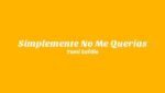Simplemente No Me Querías  (English Translation) Lyrics