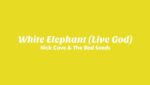 White Elephant (Live God) Lyrics