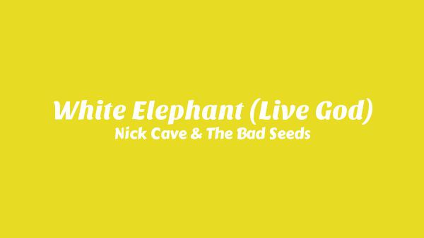 White Elephant (Live God) Lyrics - Nick Cave & The Bad Seeds