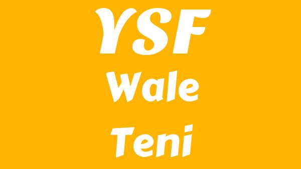YSF Lyrics - Wale, Teni, Seyi Vibez