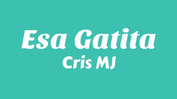 Esa Gatita Lyrics (English Translation) - Cris MJ