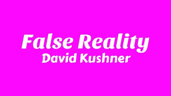 False Reality Lyrics - David Kushner
