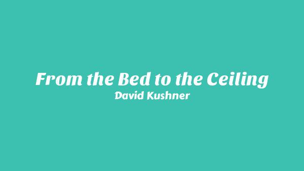 From the Bed to the Ceiling Lyrics - David Kushner