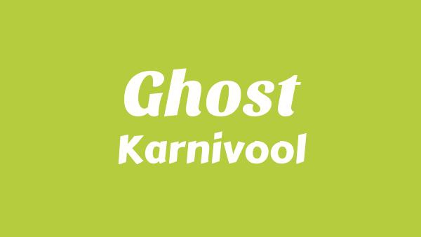 Ghost Lyrics - Karnivool